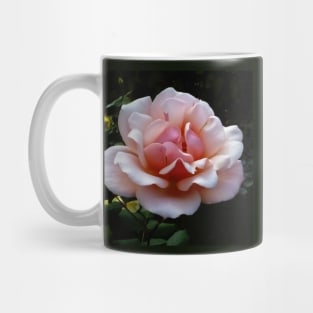 Pale Pink Rose Flower Close-up Mug